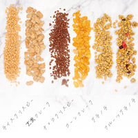 業務用 チョコクリスピー 400g 1袋 日本ケロッグ シリアル