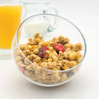 業務用フルーツグラノラ H 500g 6袋 日本ケロッグ シリアル