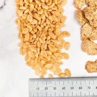 業務用 ライスクリスピー 300g 6袋 日本ケロッグ シリアル