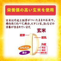 玄米フレーク 240g 1セット（1袋×2） 日本ケロッグ シリアル