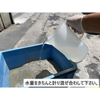 家庭化学工業 プレミックスセメント 4kg グレー 209701 1袋