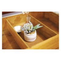 キシマ エクリア 消臭アーティフィシャルグリーン 三個セットタイプ KH-61189 1セット(3個)（直送品）