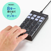 サンワサプライ プログラマブルテンキー(有線モデル) NT-26UBK 1個（直送品）
