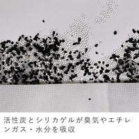 &NE nikii 野菜室シート 底に敷くだけ 野菜室の環境改善 好きな大きさにカットできる 1個（2枚入） 日本製 エヌ・エレファント