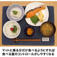 サンベルム Pally ランチョンマット リバーシブル ネイビー/グレー●3個セット 4522021509363 1セット(3個入)（直送品）