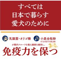 JPスタイル 和の究み 小粒 1歳から 国産 3kg（500g×6パック）4袋 ペットライン 犬用 ドッグフード
