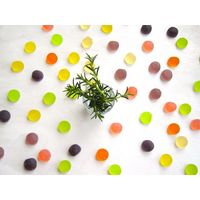 岡山マスカットグミラブレ乳酸菌入 グミ ご当地 1セット（1個×4） カネカ食品