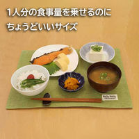 サンベルム ランチョンマット 30×40cm 撥水 リバーシブル グリーン K72503 1枚