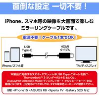 エアージェイ ミラーリングケーブルHDMI to Type-C 60Hz 2m AHD-C2M 1本
