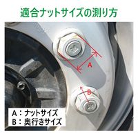 パーマンコーポレーション プラナットキャップ 41mm 100ヶ入 大型車用 クリアレンズ付 リア 1214011000 1個（直送品）