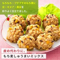 サラダクラブ もち麦ミックス 3種豆とキヌアと黒米入り 40g 1セット（1袋×2）キユーピー パウチ