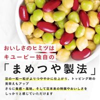 サラダクラブ ミックスビーンズ＜ひよこ豆・青えんどう・赤いんげん豆＞ 100g 1セット（1袋×3）キユーピー パウチ
