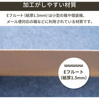 トッパン・コスモ 板ダンボール A1 841×594mm 10枚セット FB19-0010-SK 1セット(10枚)（直送品）
