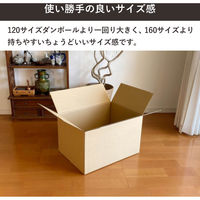 トッパン・コスモ 140サイズダンボール 5枚セット 53×38×33cm FD04-0005-SK 1セット(5枚)（直送品）