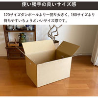 トッパン・コスモ 140サイズダンボール 手穴 5枚セット 53×38×33cm FD04B-0005-SK 1セット(5枚)（直送品）