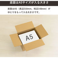 トッパン・コスモ 60サイズダンボール 5枚セット 24×19×14cm FD08-0005-SK 1セット(5枚)（直送品）