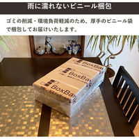 トッパン・コスモ 60サイズダンボール 10枚セット 24×17×8cm FD09-0010-SK 1セット(10枚)（直送品）