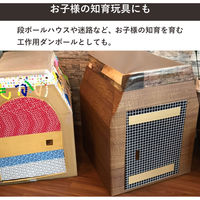 トッパン・コスモ 200サイズダンボール 2枚セット 68×68×55cm FD11-0002-SK 1セット(2枚)（直送品）