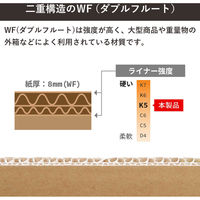 トッパン・コスモ 高強度160サイズダンボール 3枚セット 53×53×46cm FD33-0003-SK 1セット(3枚)（直送品）