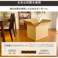 トッパン・コスモ 160サイズダンボール 2枚セット 58×48×46cm FD36-0002-SK 1セット(2枚)（直送品）