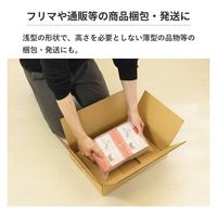 トッパン・コスモ 80サイズダンボール ノートPC用 10枚 41×29×9cm FD38-0010-SK 1セット(10枚)（直送品）