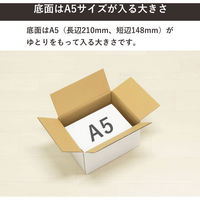 トッパン・コスモ 60サイズ白ダンボール 10枚セット 24×19×14cm FW08-0010-SK 1セット(10枚)（直送品）