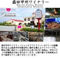 シャンモリ ワインパーティー 赤ワイン やや辛口　1.5L ペット 1本 盛田甲州ワイナリー 国産　1500ml