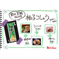柚子こしょう 40g1本 国産柚子原料使用 ハウス食品