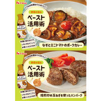 濃い飴色の炒め玉ねぎ 160g 1本 ハウス食品 たまねぎ タマネギ