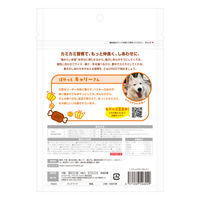 ディンゴ フラットチキンガム 小型～大型犬用 8枚入 1セット（1袋×3）スペクトラムブランズジャパン 犬用 おやつ