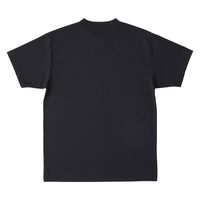 TRUSS サステナブル コットンライクドライ Tシャツ 半袖 吸汗速乾 ホワイト CLD-923-1-XXL XXL 1枚（直送品）