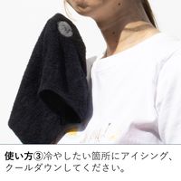 LOGOS 瞬間アイススタンプ 81336860 1セット（1本×2） LOGOS/ロゴス