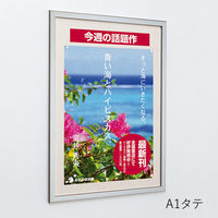 ベルク アルモード 掲示ボード 612 ステン 屋内用 2100×900 掲示シート仕様 612S 140804 1台（直送品）