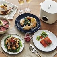 アピックス スローマイスター ALC-750 1台