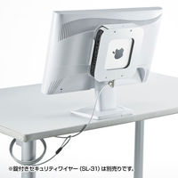 サンワサプライ Mac miniセキュリティ(eセキュリティ) SLE-21SMM 1個（わけあり品）