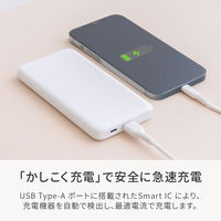 オウルテック ポケットサイズ薄型モバイルバッテリー 10000mAh ブラック OWL-LPB10013-BK 1個