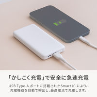 オウルテック ポケットサイズ薄型モバイルバッテリー 5000mAh ブラック OWL-LPB5013-BK 1個
