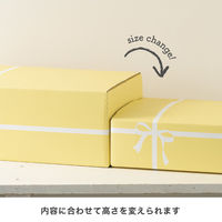 【80サイズ】ヘッズ クレール撥水宅配ギフトBOX-1 CLA-HCT1 W356×D256×H152mm 1セット（100枚）