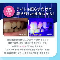 オムニ デンタルプラークチェックライト 歯石歯垢チェッカー 虫歯予防 OMC-DTHA001 1台（直送品）