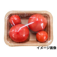 シンメイ ナチュラルペーパートレー 17-27 1箱（600枚：50枚入×12袋）