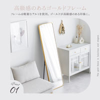 武田コーポレーション スタンドミラーワイドGD A3-SM150GD 1箱(1個入)（直送品）