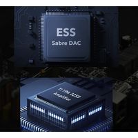 Linkplay Technology ネットワークプレイヤー/シルバー WIIM-AMP-SILVER 1個（直送品）