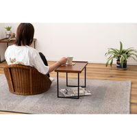 東谷 ROOM ESSENCE ミニテーブル S 幅500×奥行300×高さ330mm ブラウン GT-313BR 1台（直送品）