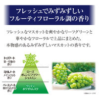 サワデー香るスティック 玄関・ 部屋用 マスカット＆リーフ 詰め替え 70ml 1セット（1個×3） 芳香剤 小林製薬