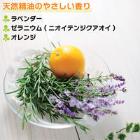 パックス　お肌しあわせハンドソープ　詰替用　300mL　1セット(6個)　太陽油脂　泡　無添加　天然由来100%　せっけん　ゼラニウム＆ラベンダー