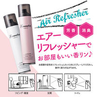 ランドリン エアーリフレッシャー クラシックフローラル 160ml