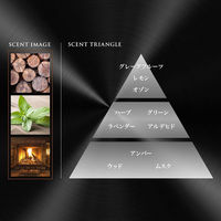 ファブリーズ 車用 プレミアムクリップ ウッディコンチェルト 本体 1個 消臭剤 芳香剤 Ｐ＆Ｇ