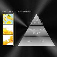 ファブリーズ 車用 プレミアムクリップ シトラスシンフォニー 本体 1個 消臭剤 芳香剤 Ｐ＆Ｇ