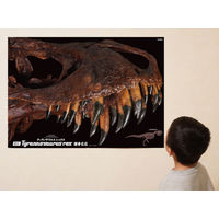学研ステイフル ティラノサウルス骨格模型&ポスター Q750763 1個