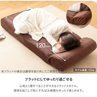 【軒先渡し】岩附　　ハイバックリクライニングソファ 1人掛け　IW-452　1個　ブラウン（直送品）